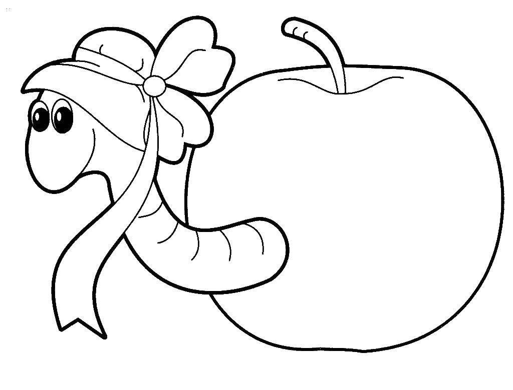 Coloring The worm in the Apple. Category fruits. Tags:  fruit, Apple.
