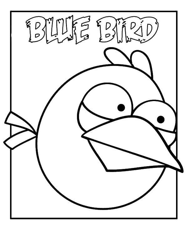 Название: Раскраска Голубая птичка. Категория: angry birds. Теги: Игры, Angry Birds .
