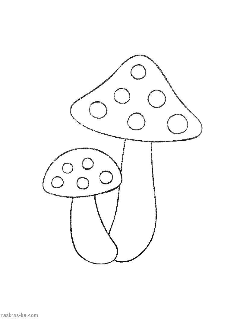 Название: Раскраска Грибы. Категория: раскраски для маленьких. Теги: грибы.