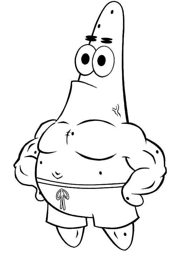 Coloring Muscular Patrick. Category cartoons. Tags:  Cartoon character, spongebob, spongebob, Patrick.