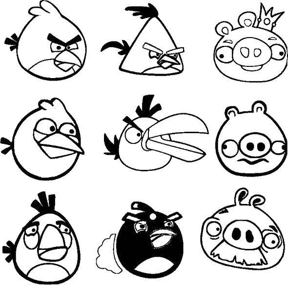 Название: Раскраска Персонажи игры. Категория: angry birds. Теги: Игры, Angry Birds .