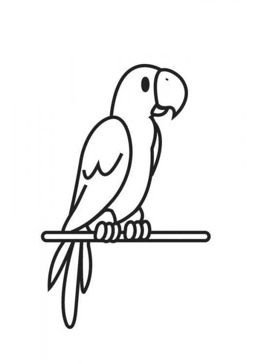 Название: Раскраска Попугай на жердочке. Категория: Контуры для вырезания птиц. Теги: попугай, жердочка.