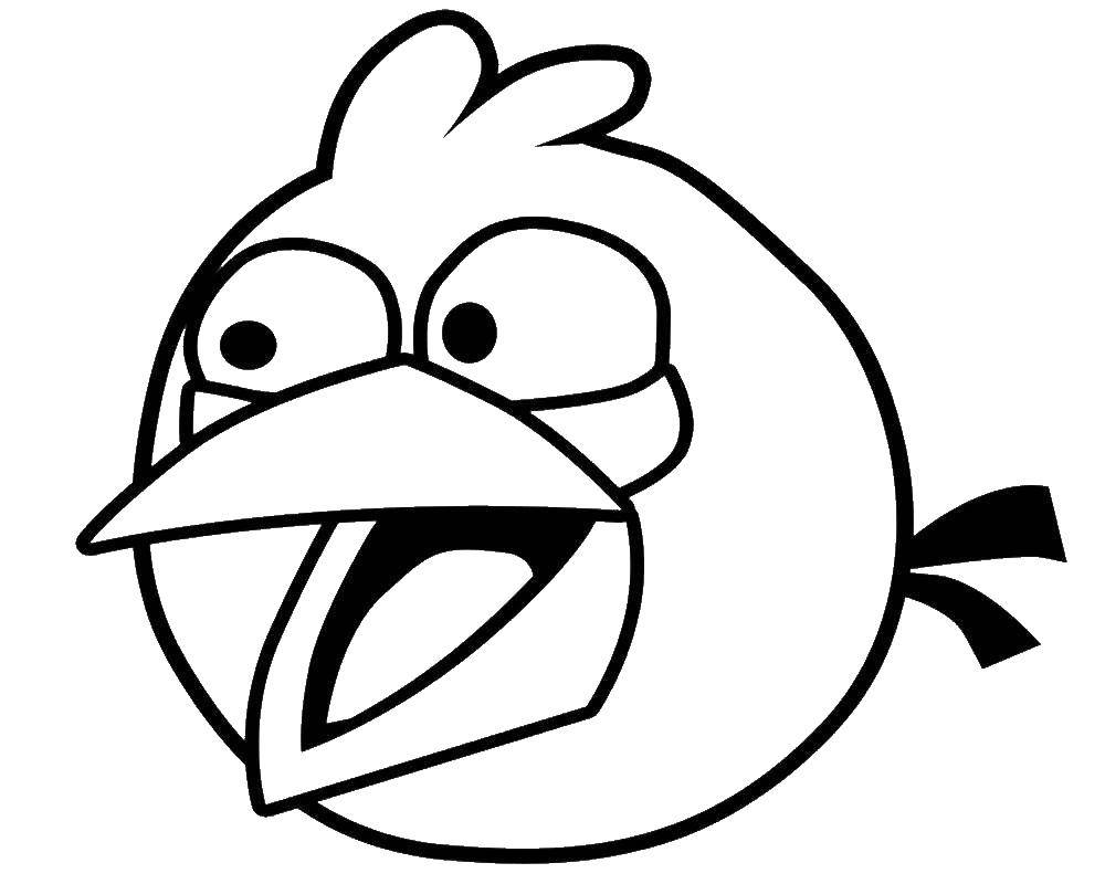 Coloring Bird from angry birds . Category angry birds. Tags:  Games, Angry Birds .