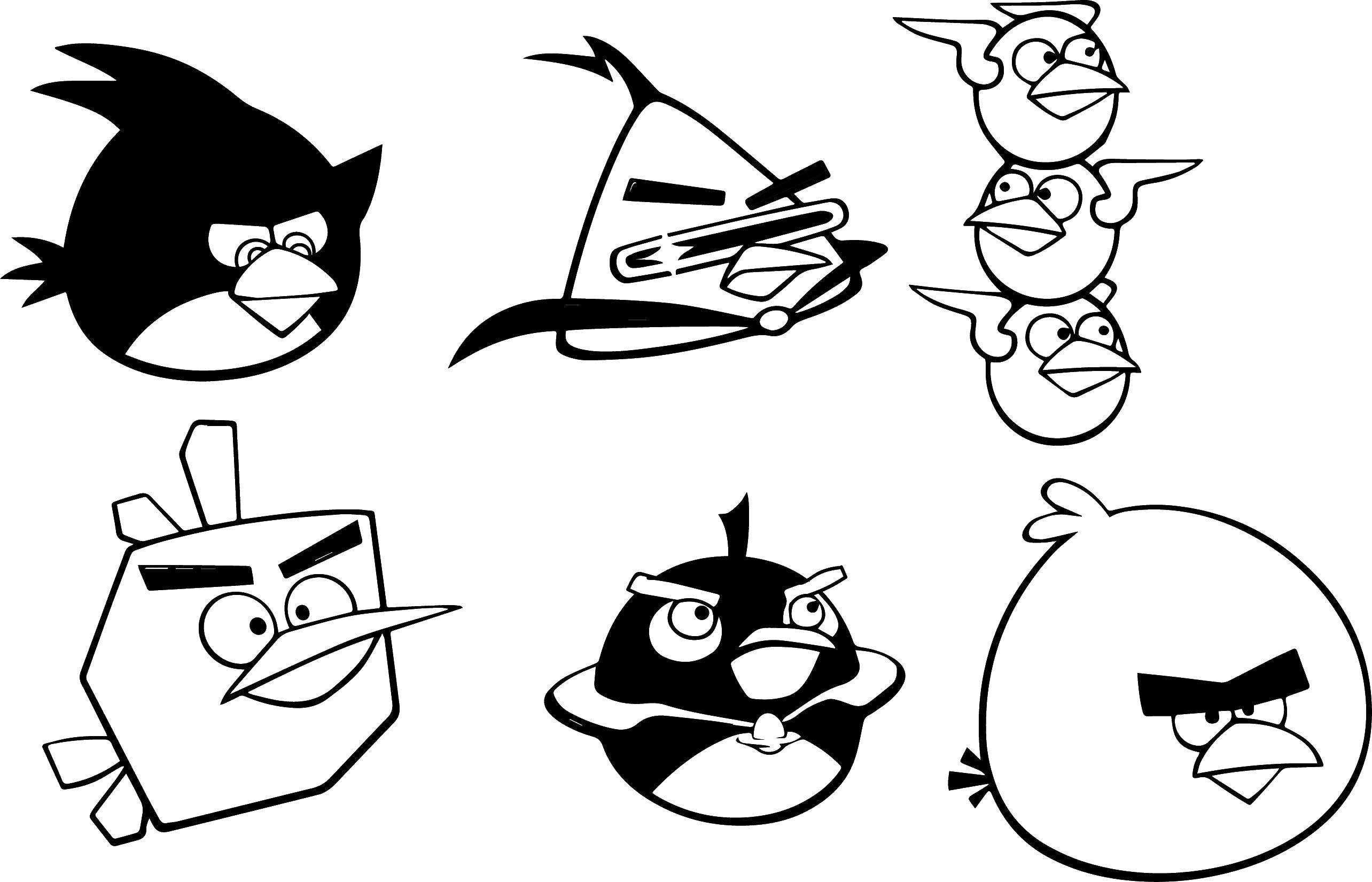 Название: Раскраска Птички из angry birds . Категория: angry birds. Теги: Игры, Angry Birds .