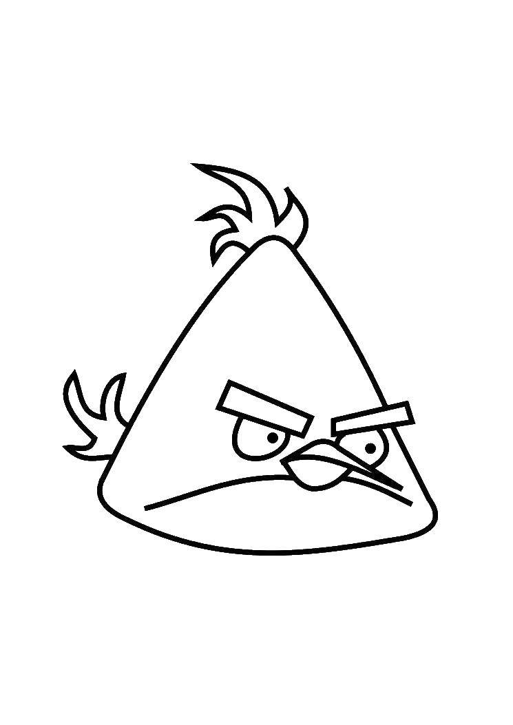 Coloring Angry bird. Category angry birds. Tags:  Games, Angry Birds .