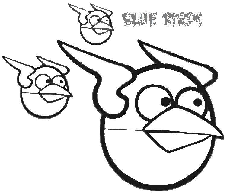 Coloring Blue birds. Category angry birds. Tags:  Games, Angry Birds .
