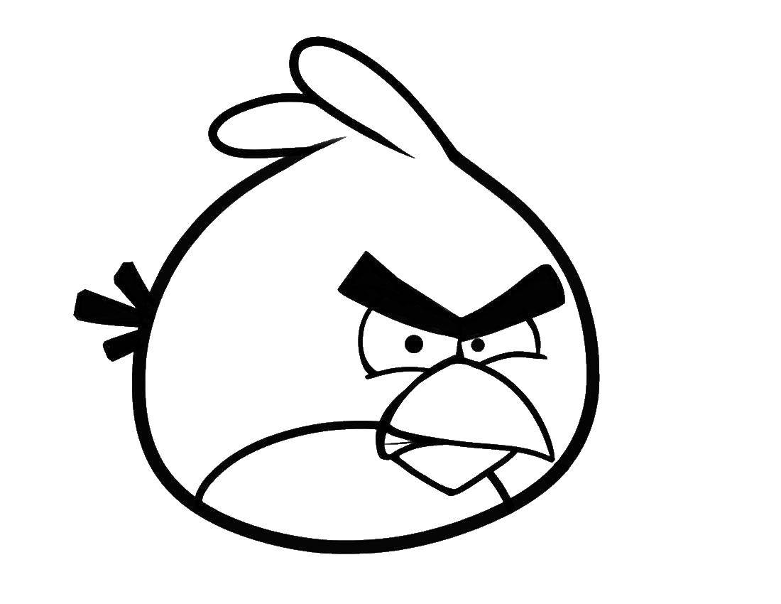 Название: Раскраска Красная птичка. Категория: angry birds. Теги: Игры, Angry Birds .
