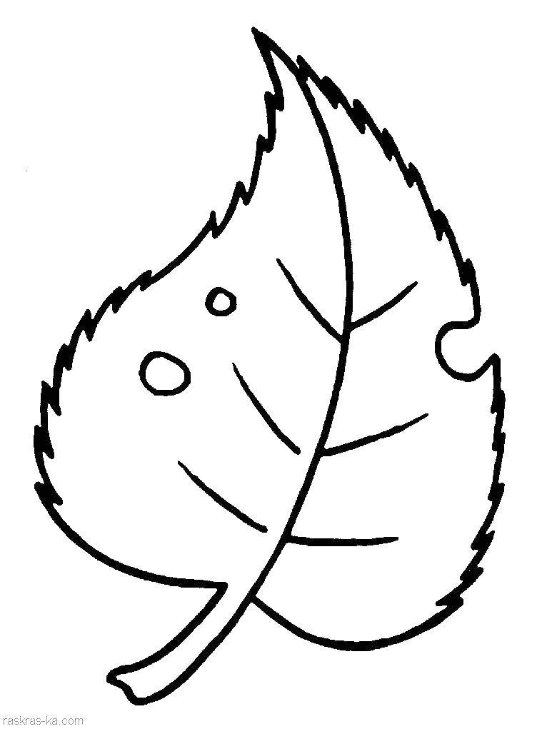 Coloring Sheet. Category coloring for little ones. Tags:  Leaf.
