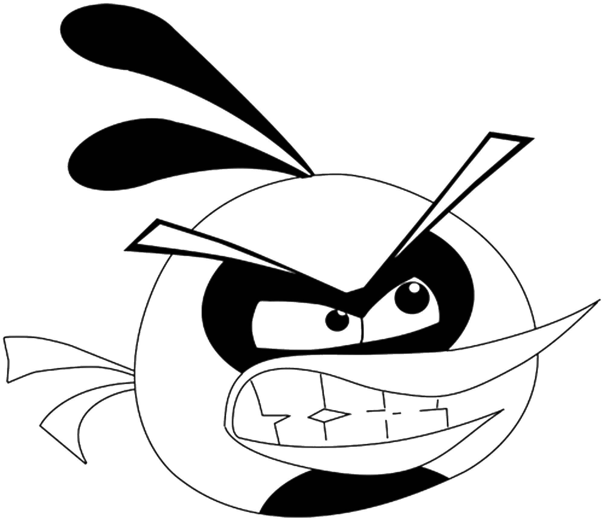 Coloring Angry bird. Category angry birds. Tags:  Games, Angry Birds .