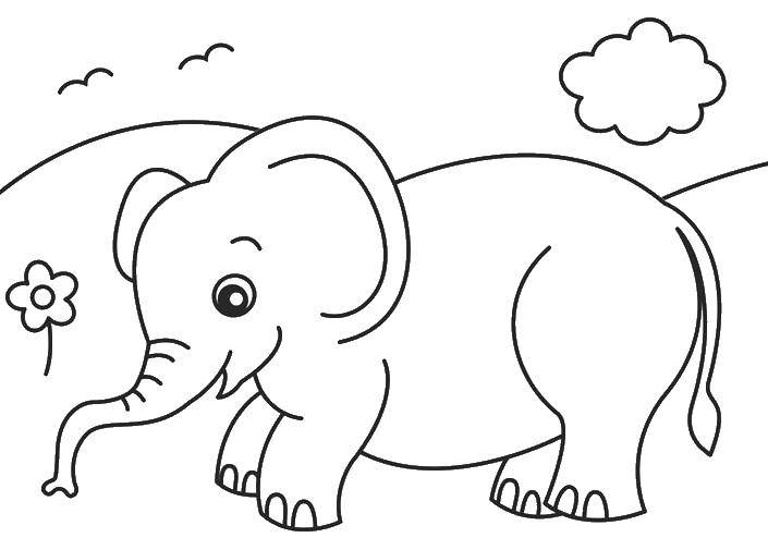 Coloring Elephant. Category Wild animals. Tags:  Elephant.