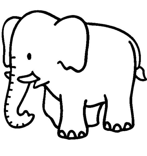 Название: Раскраска Слон. Категория: Дикие животные. Теги: Слон.