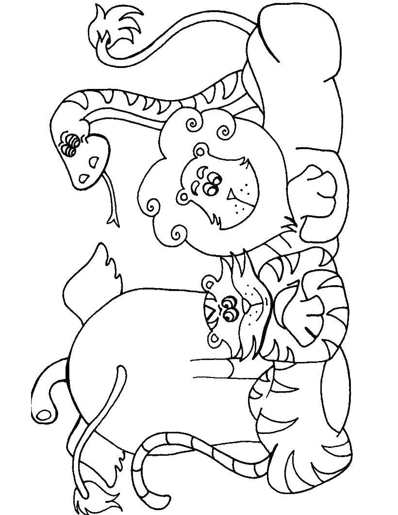 Coloring Animals. Category Wild animals. Tags:  animals.