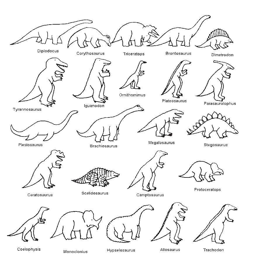 Раскраска Названия динозавров Скачать ,Динозавры,.  Распечатать 