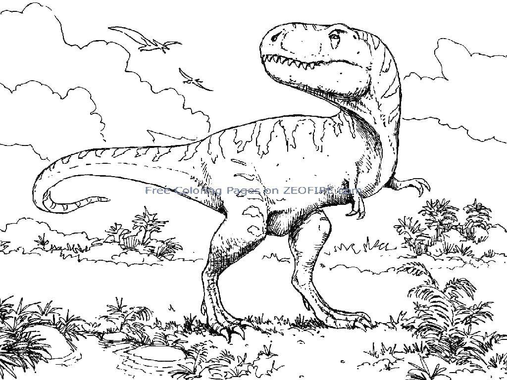 Розмальовки  Тиранозавр рекс. Завантажити розмальовку Тиранозавр, Рекс.  Роздрукувати ,динозавр,