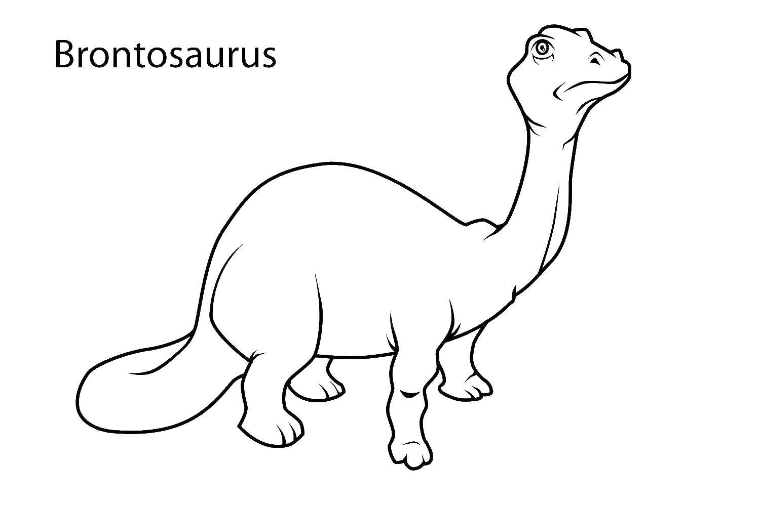 Название: Раскраска Бронтозавр. Категория: динозавр. Теги: Бронтозавр, динозавры.
