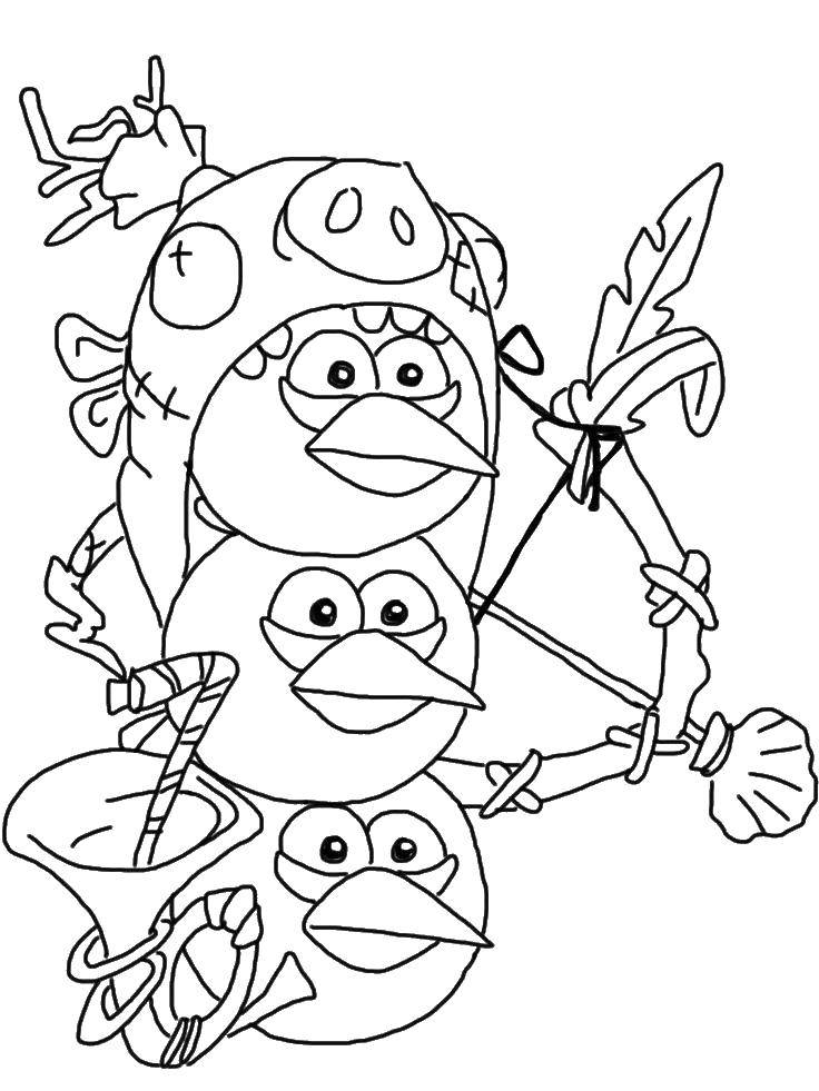 Coloring Jay, Jake and Jim. Category angry birds. Tags:  angry birds, Jay, Jake, Jim.