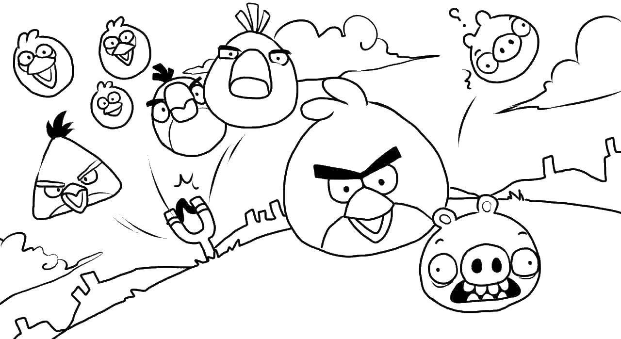 Coloring Angry birds run for the pig. Category angry birds. Tags:  angry birds.