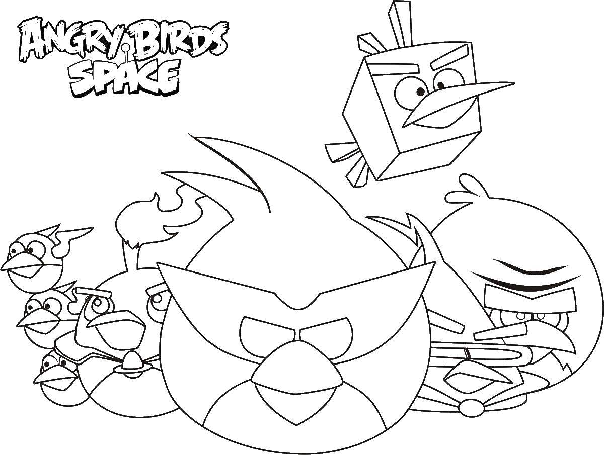 Coloring Angry birds in space. Category angry birds. Tags:  angry birds, angry birds.