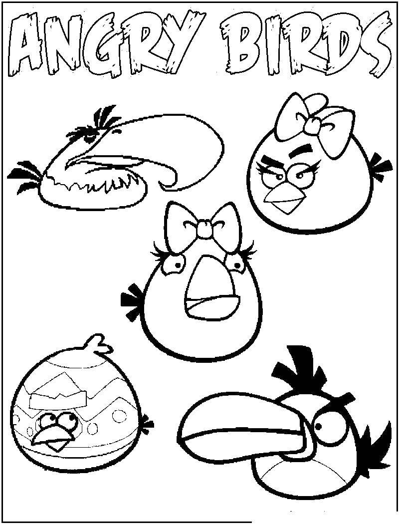 Coloring Angry birds. Category angry birds. Tags:  angry birds, angry birds.