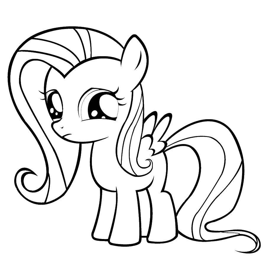 Coloring Fluttershy. Category my little pony. Tags:  Pony, fluttershy.