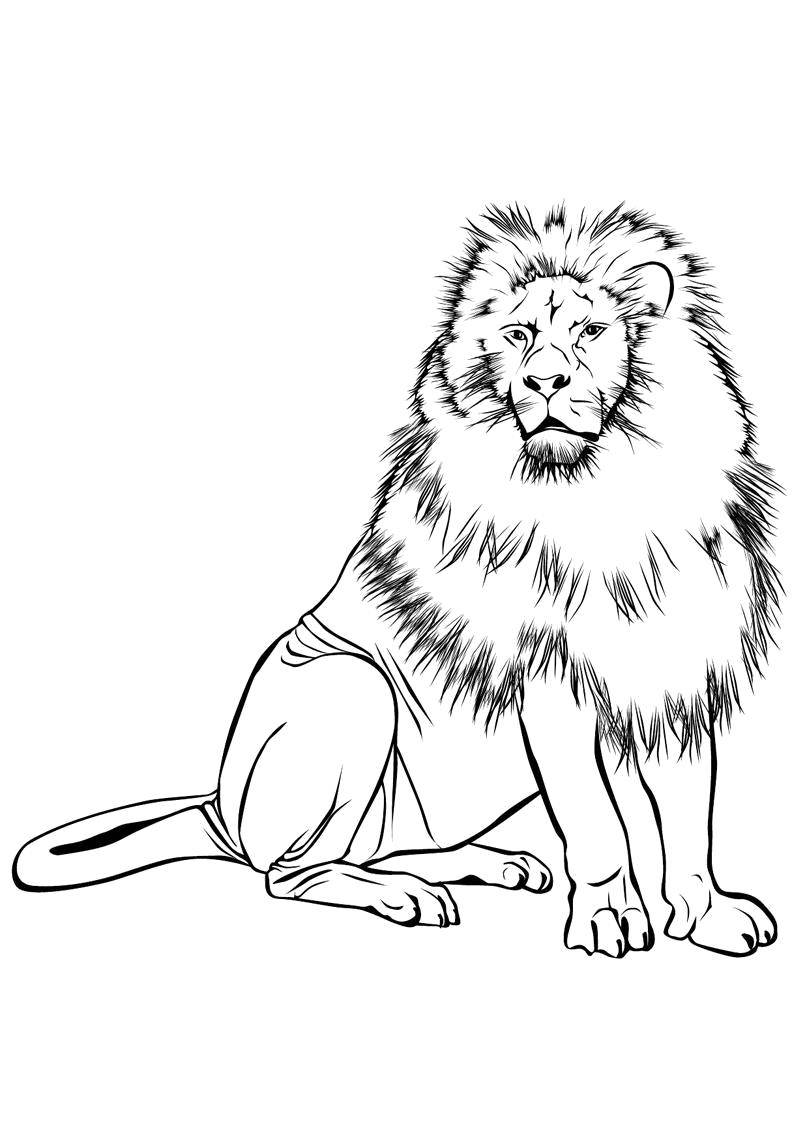 Coloring Leo. Category Wild animals. Tags:  Animals, lion.