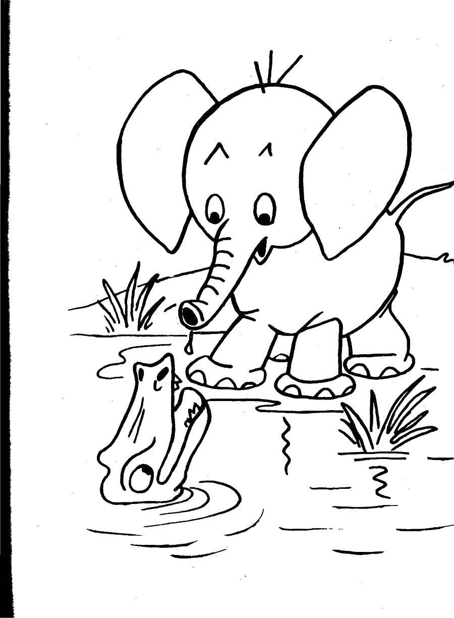 Coloring Elephant and crocodile. Category Wild animals. Tags:  Animals, elephant, crocodile.