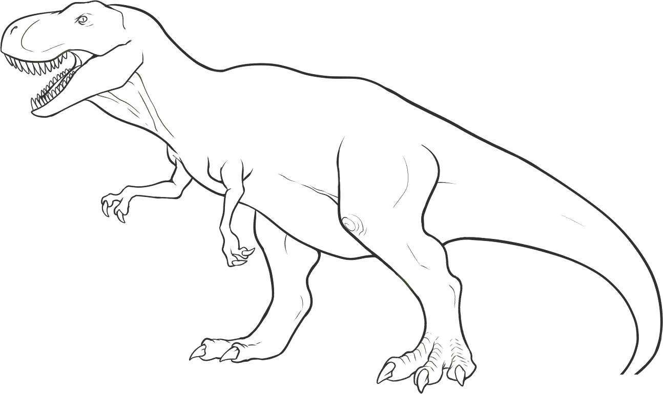 Розмальовки  Тиранозавр. Завантажити розмальовку Динозаври, тиранозавр.  Роздрукувати ,динозавр,