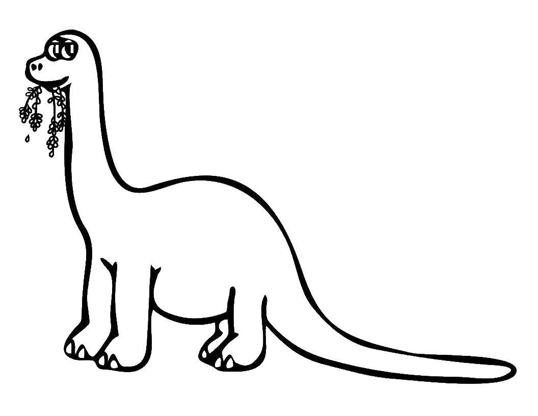 Название: Раскраска Бронтозаврик. Категория: динозавр. Теги: Динозавры, бронтозавр.