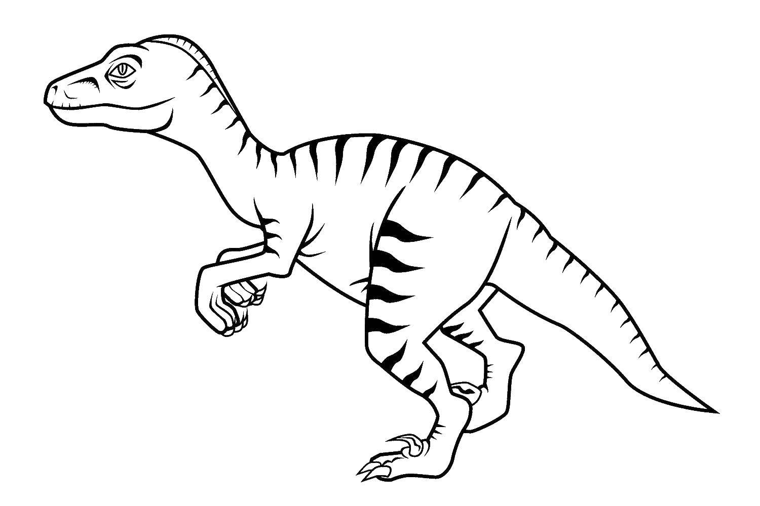 Coloring Dinosaur. Category dinosaur. Tags:  Dinosaurs.