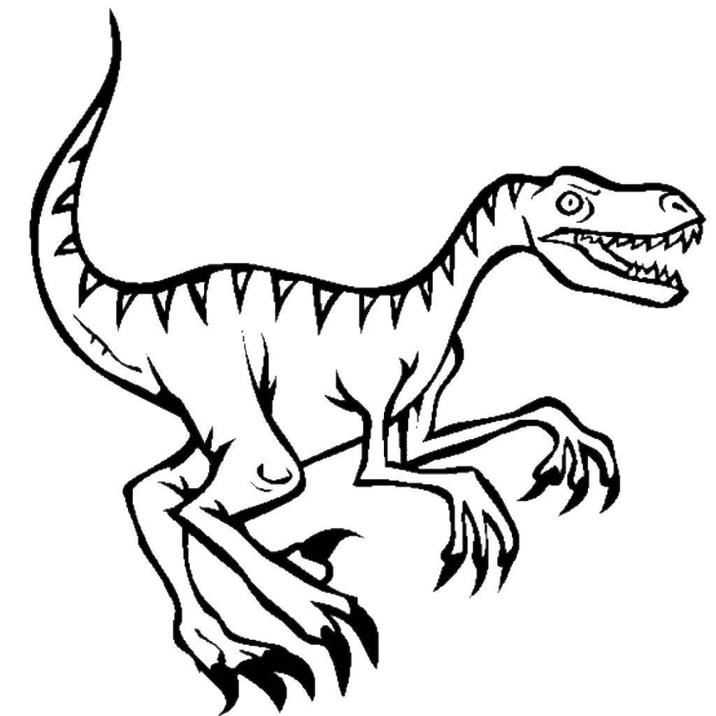 Название: Раскраска Доисторический динозавр. Категория: динозавр. Теги: Динозавры.