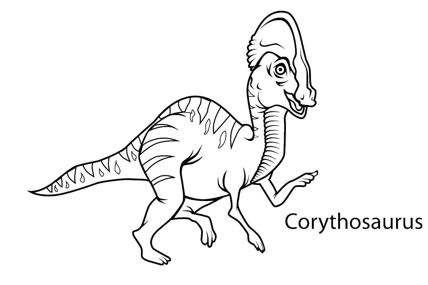 Coloring The corythosaurus. Category dinosaur. Tags:  Dinosaurs.