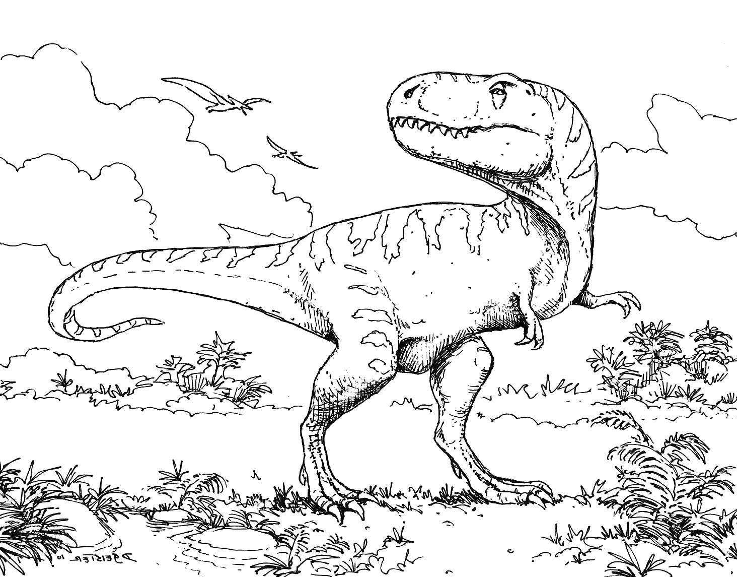 Название: Раскраска Тираннозавр рэкс. Категория: динозавр. Теги: Динозавры, тираннозавр.