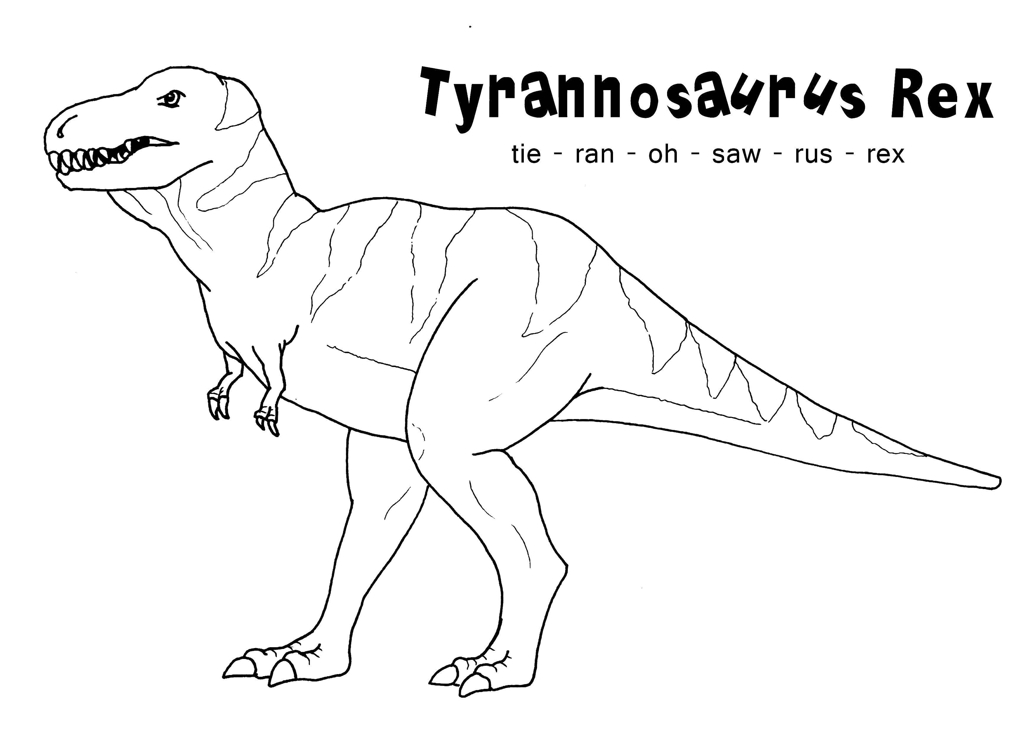Название: Раскраска Тираннозавр рэкс. Категория: динозавр. Теги: Динозавры, тираннозавр.