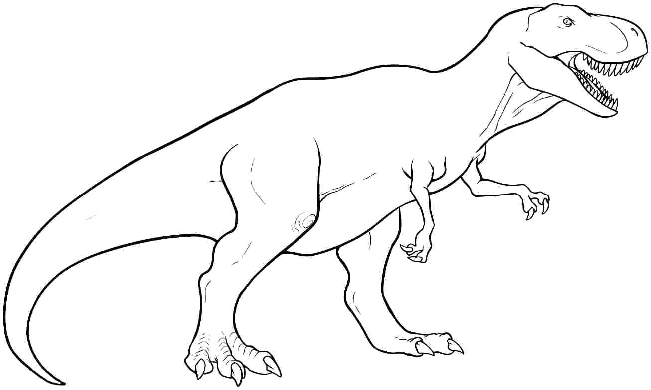 Coloring Tyrannosaurus. Category dinosaur. Tags:  Dinosaurs, Tyrannosaurus.