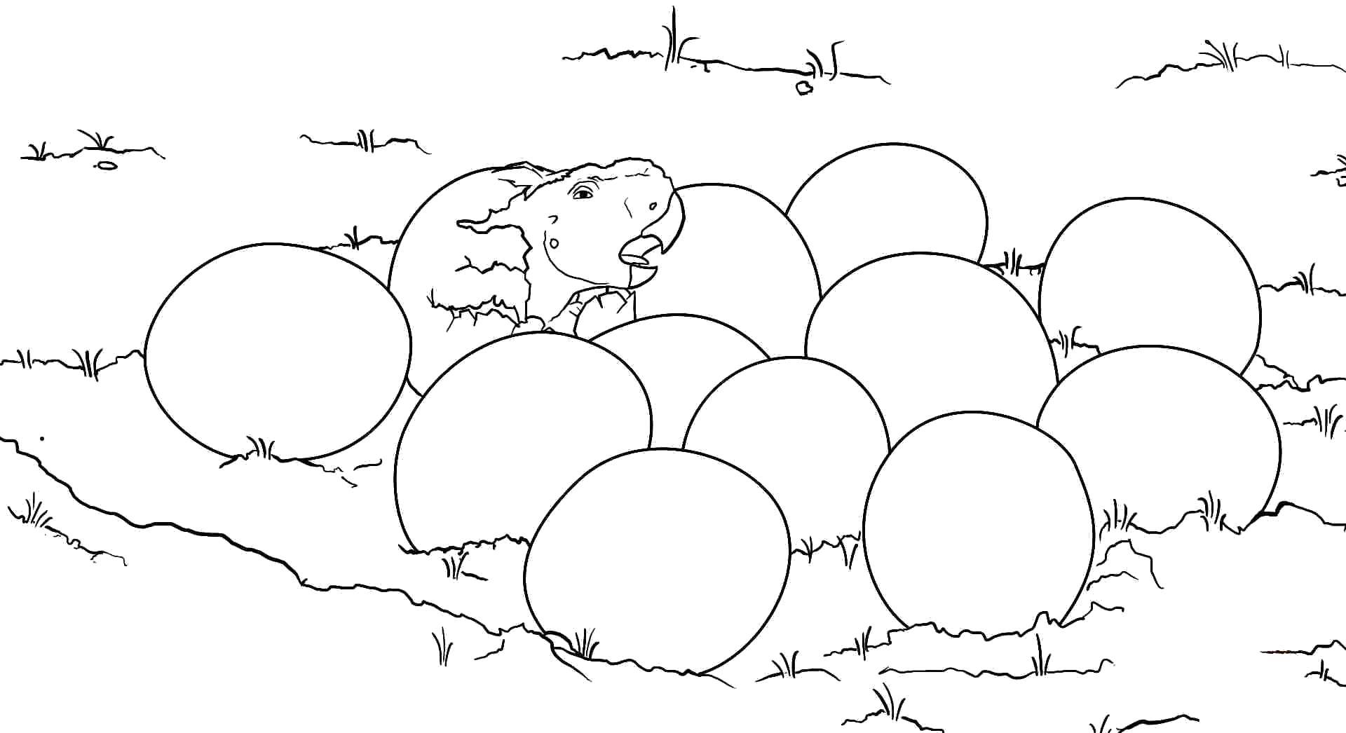 Dinosaur Egg Coloring Pages - Free & Printable!