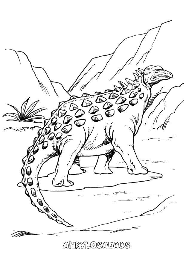 Coloring Ankylosaurus. Category dinosaur. Tags:  Dinosaurs.
