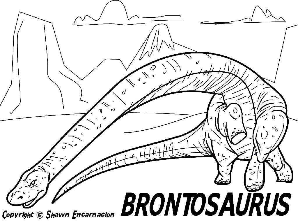 Coloring Brontosaurus. Category dinosaur. Tags:  Dinosaurs, Brontosaurus.