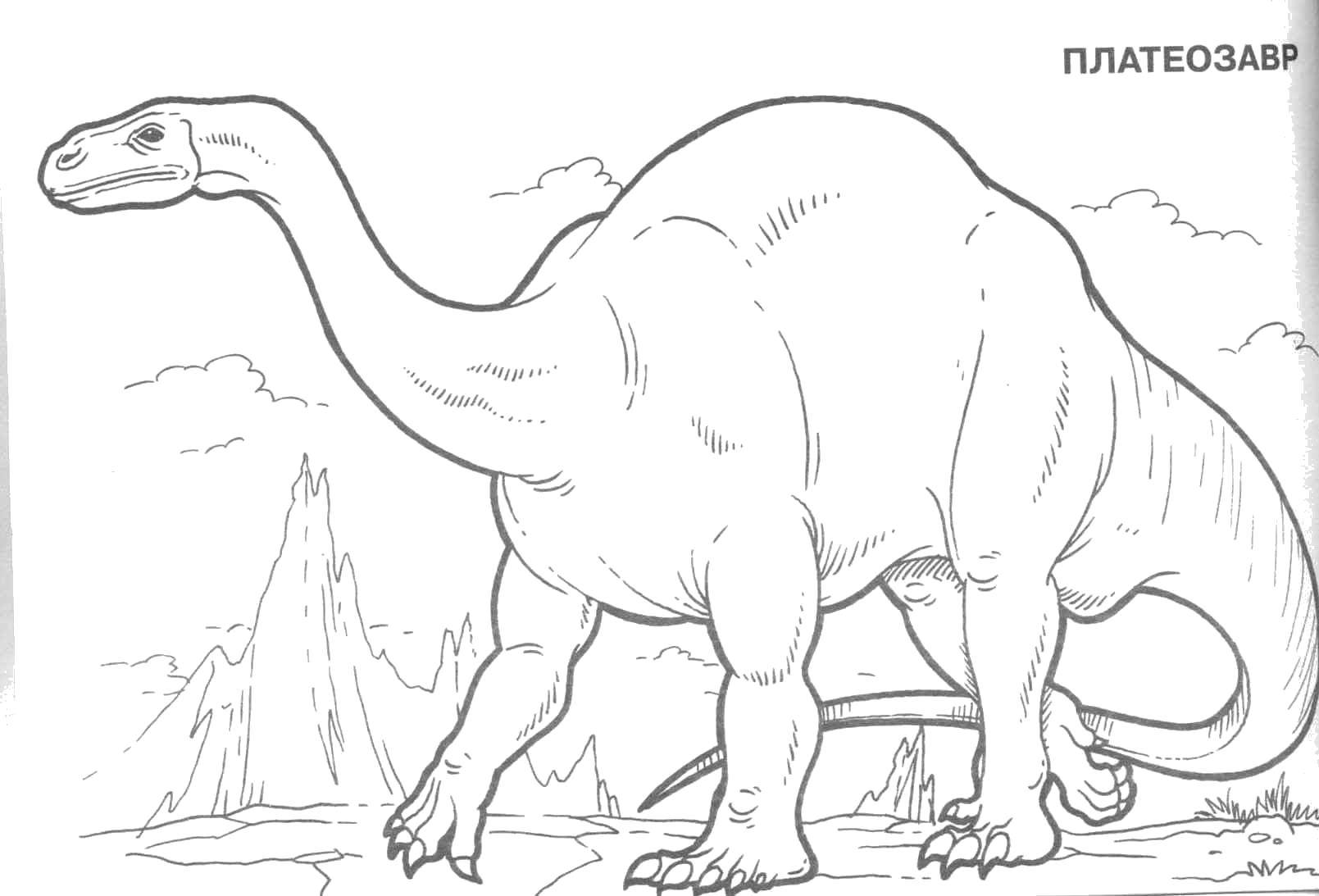 Название: Раскраска Платеозавр. Категория: динозавр. Теги: Динозавры.