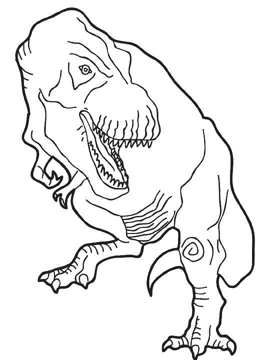 Название: Раскраска Тираннозавр. Категория: динозавр. Теги: Динозавры, тираннозавр.