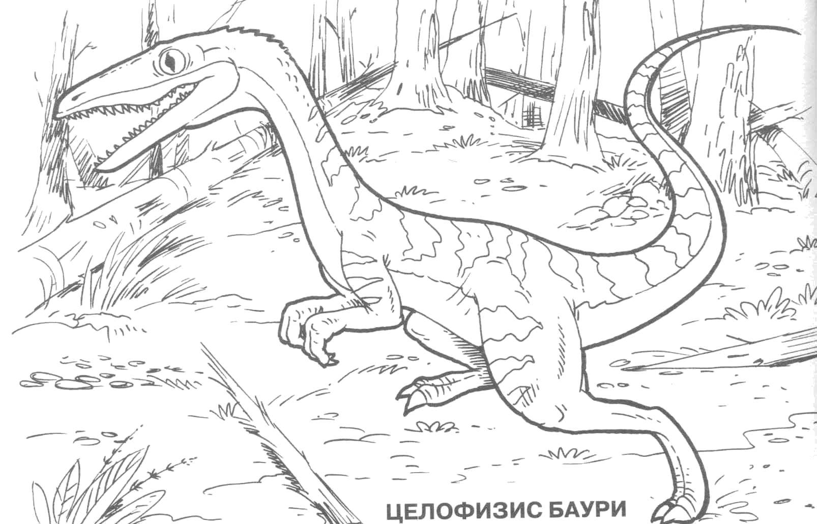 Coloring Zelovitis Bauri. Category dinosaur. Tags:  Dinosaurs.
