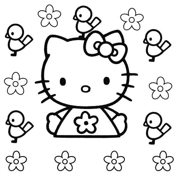 Coloring Kitty with birds. Category cartoons. Tags:  kitty .