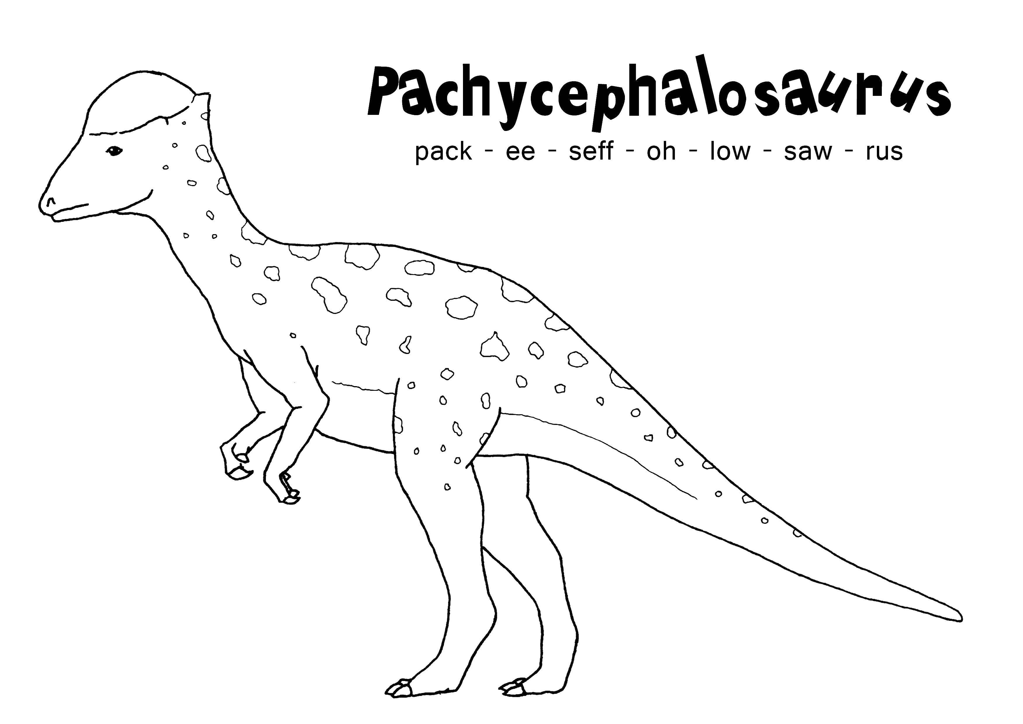 Название: Раскраска Пахицефалозавр. Категория: динозавр. Теги: Динозавры.