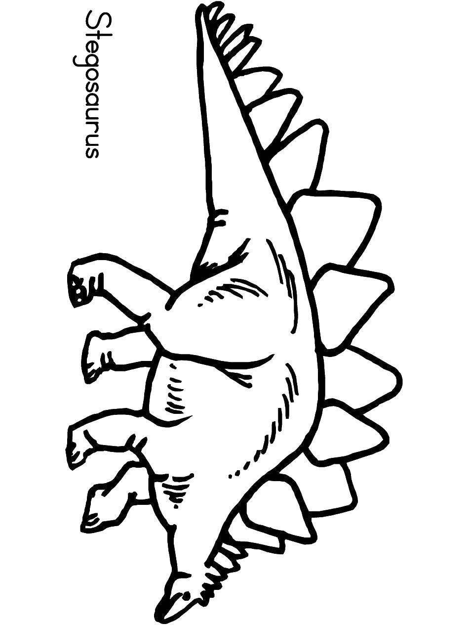 Название: Раскраска Стегозавр. Категория: динозавр. Теги: Динозавры.