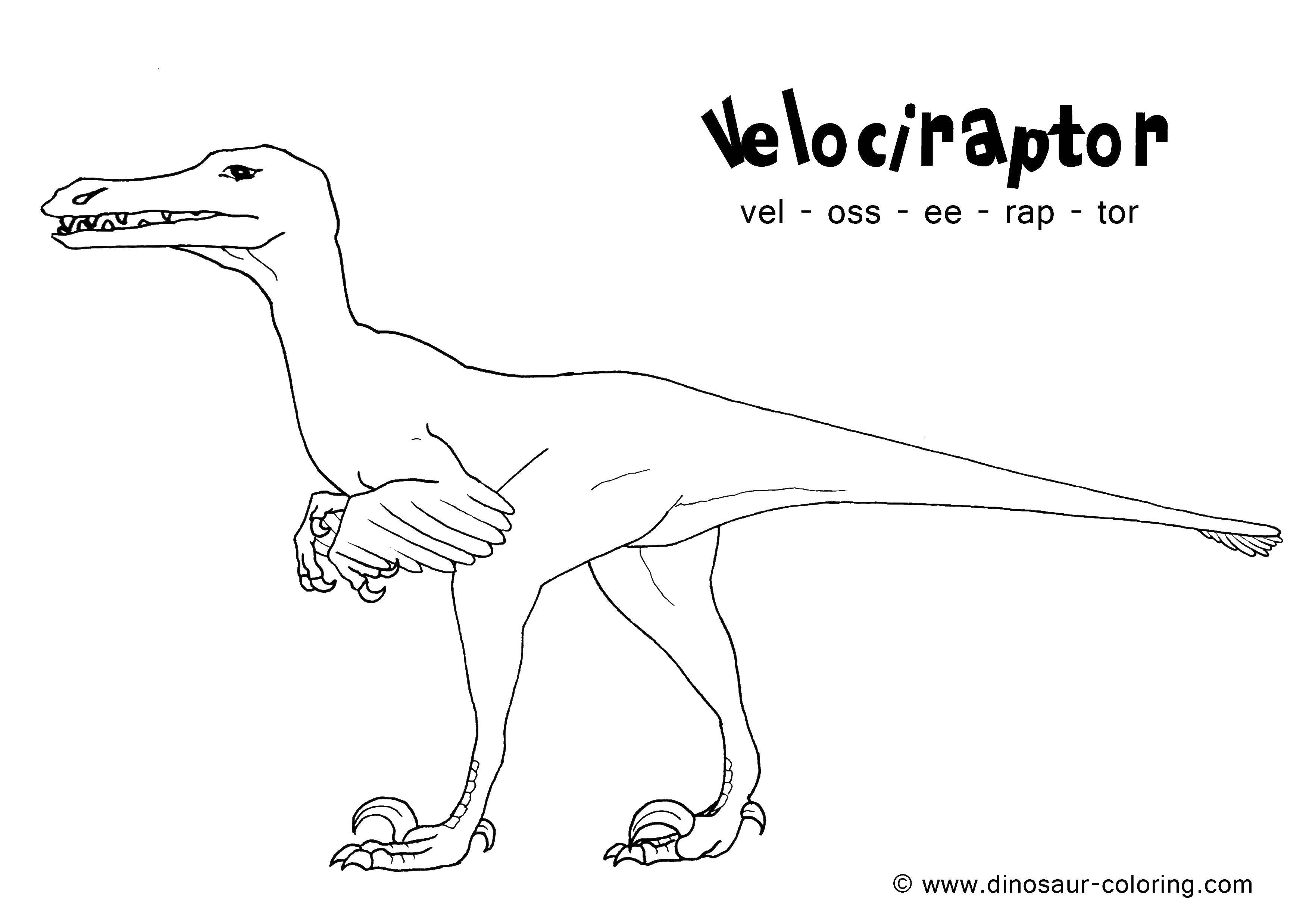 Название: Раскраска Велоцираптор. Категория: динозавр. Теги: Динозавры.