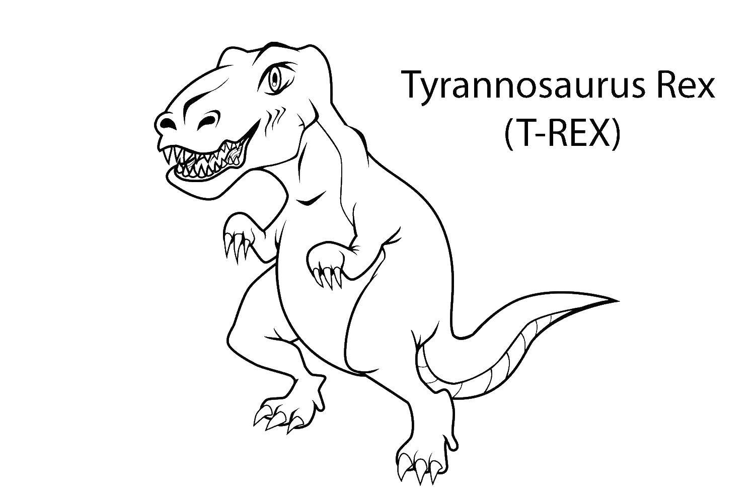 Розмальовки  Тиранозавр рекс. Завантажити розмальовку Динозаври, тиранозавр.  Роздрукувати ,динозавр,