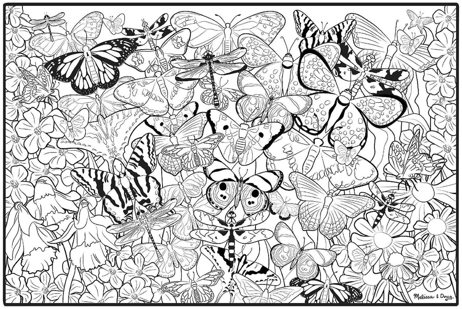 Название: Раскраска Множество бабочек среди цветов. Категория: бабочки. Теги: Бабочка, цветы.