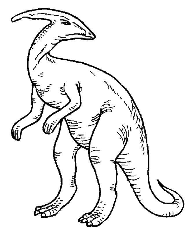Название: Раскраска Травоядный динозавр. Категория: динозавр. Теги: Динозавры.