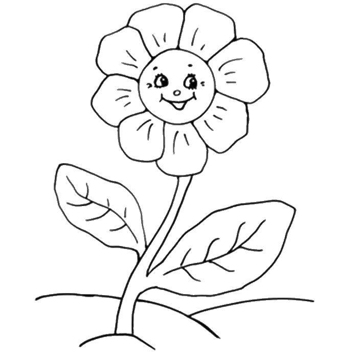 Coloring Flower. Category coloring for little ones. Tags:  flower.