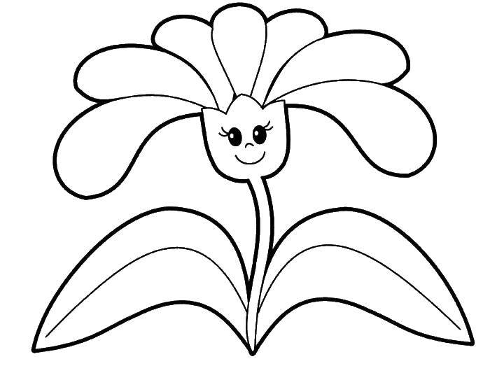 Coloring Flower. Category coloring for little ones. Tags:  flower.