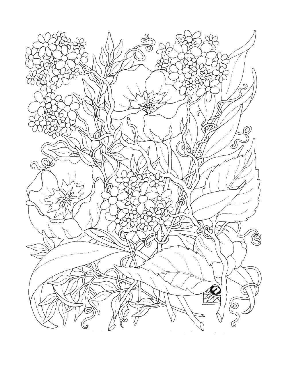 Coloring Floral pattern. Category flowers. Tags:  Flowers.